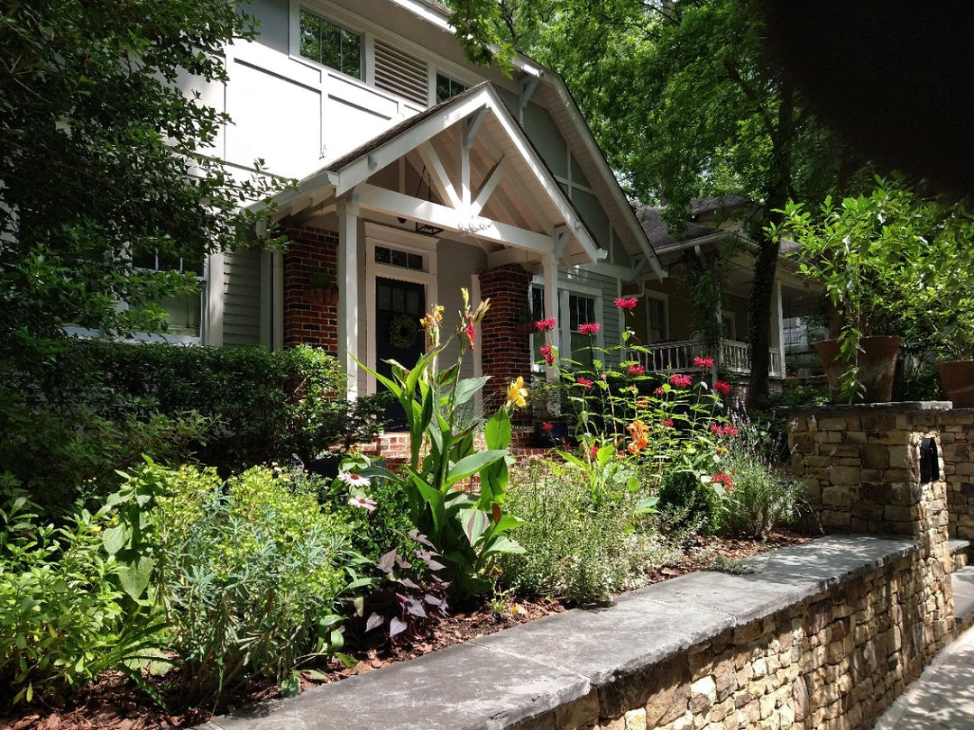 Rejuvenating an Old Garden from the Soil Up