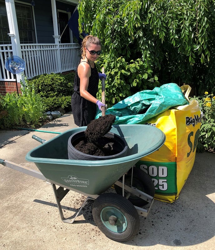 The Difference Between Peat Moss and Compost