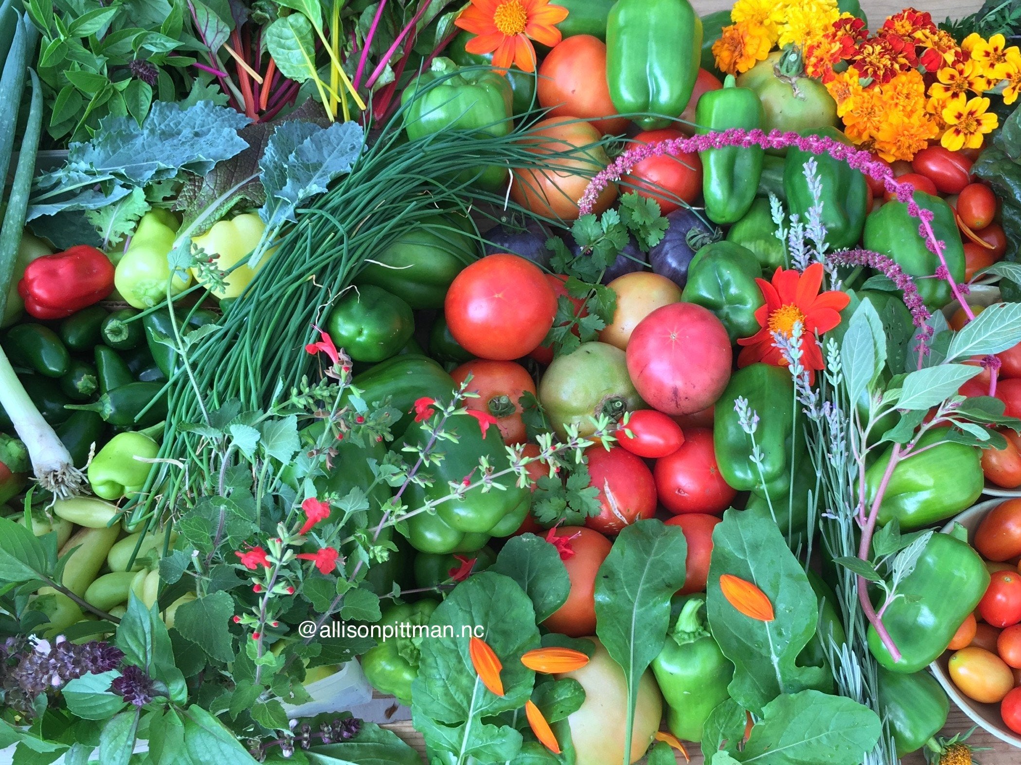 How to Attract Pollinators to Vegetable Garden: Expert Tips