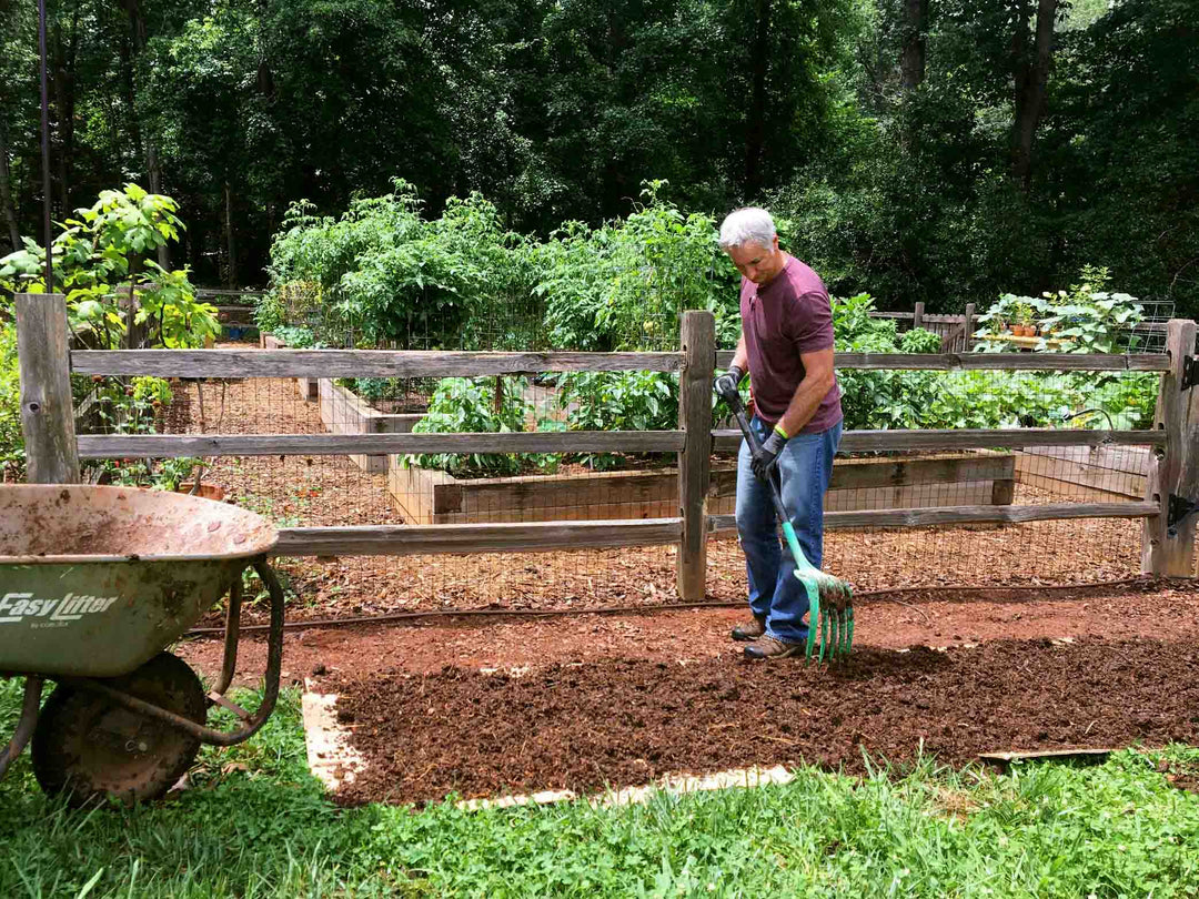 No-Till Gardening: Ditch Your Tiller