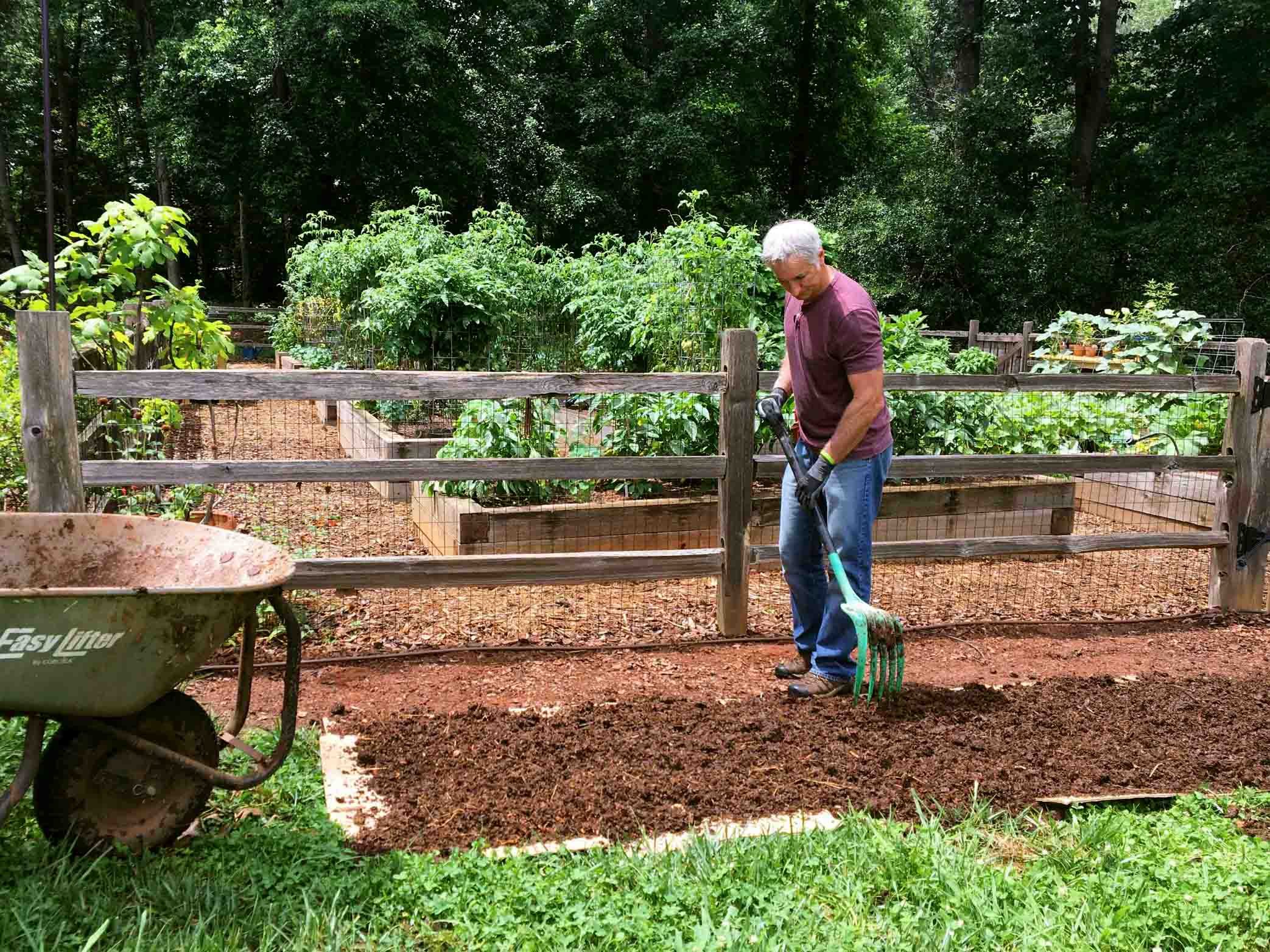 No-Till Gardening: Ditch Your Tiller