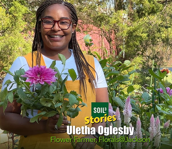 Soil³ Story: Florals@Jackson Flower Farm