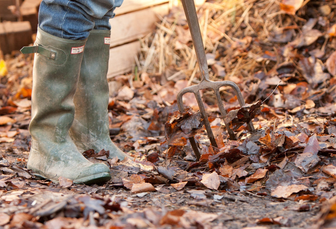 Using Fall Leaves in the Garden