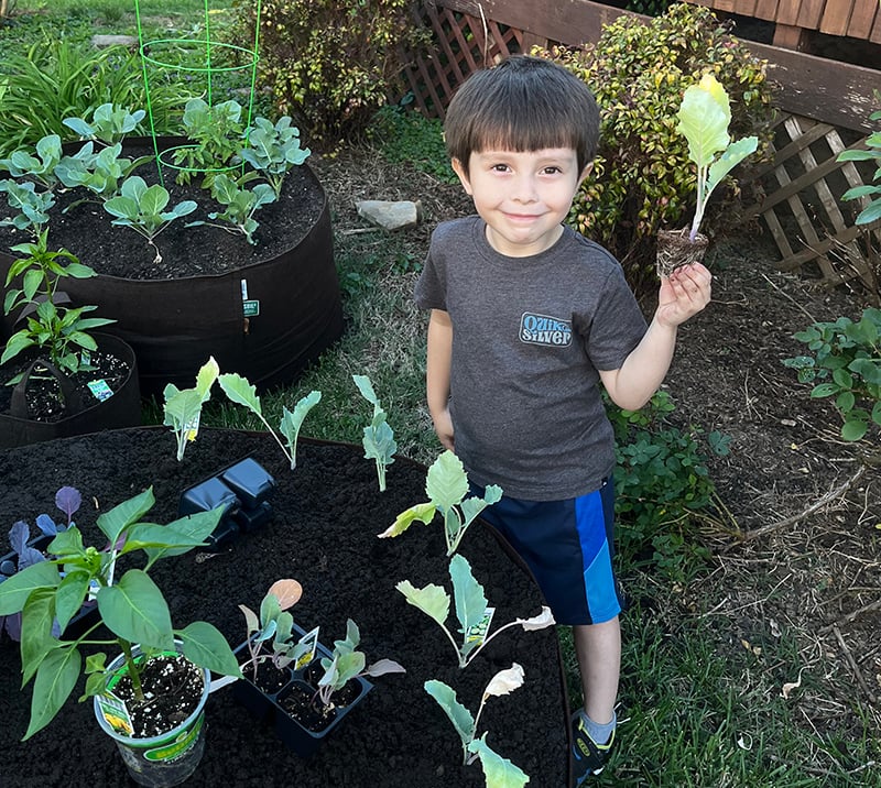 How to Grow Kohlrabi: The Cabbage Turnip