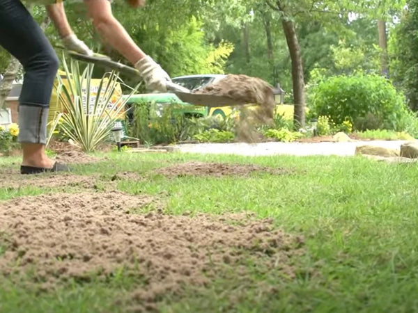 Topdressing to Level Lawns