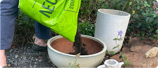 Potting Soil
