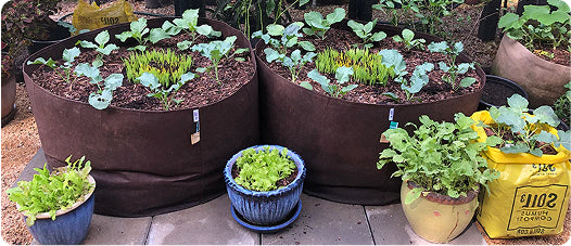 Soil-Compost Mix