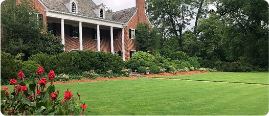 All New Lawn Prep