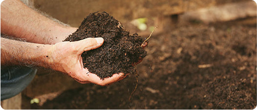 Top Soil