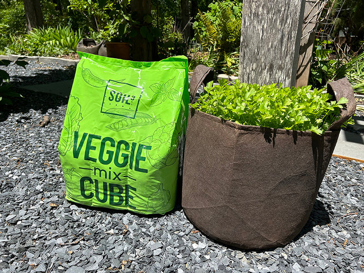 Mini Garden Kit with 1 Brown Root Pouch