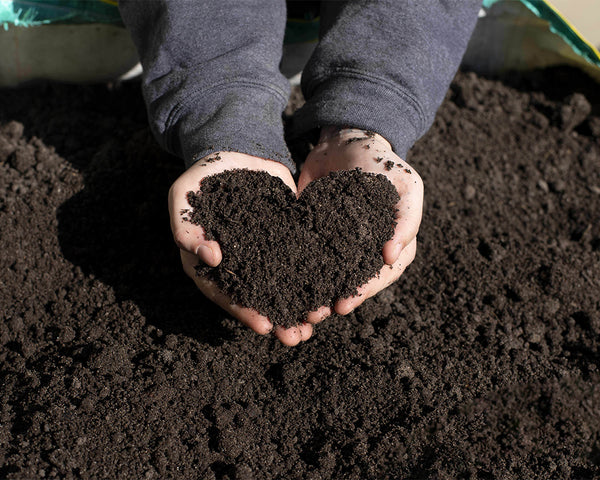 Organic Soil