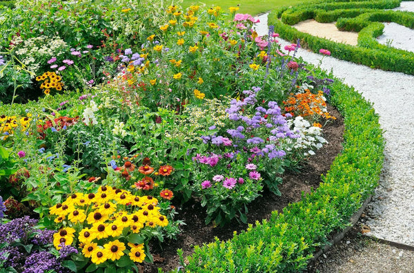 Flower Beds