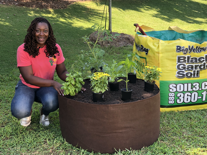 Raised Garden Kit: 1 BigYellowBag of Veggie Mix + 2 Big Root Pouches (Delivered)
