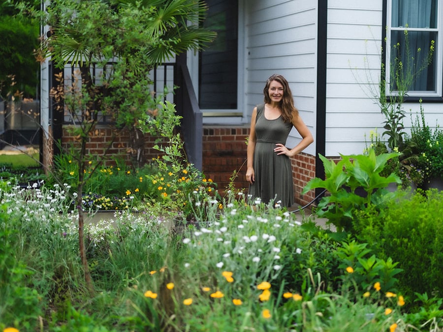 Building a Native Plant Garden from Scratch - Part 3: Grasses, Sedges, & Perennials