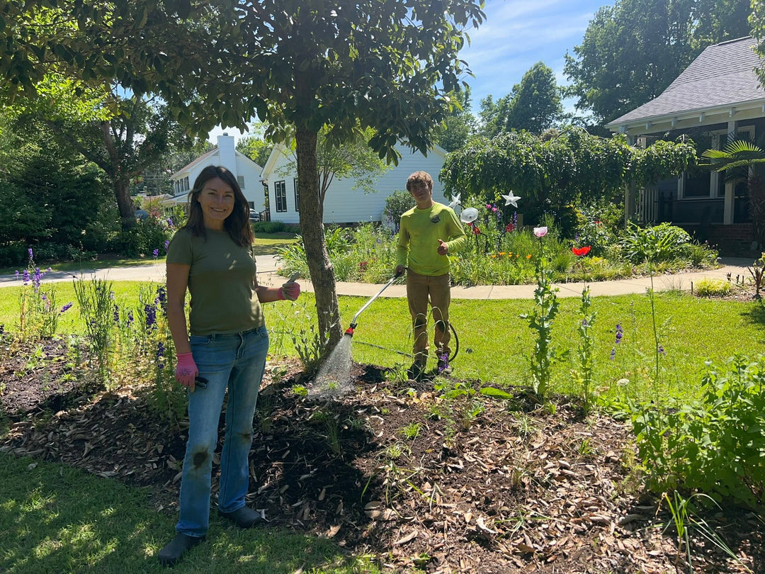 Brie gardening in improved sandy soil