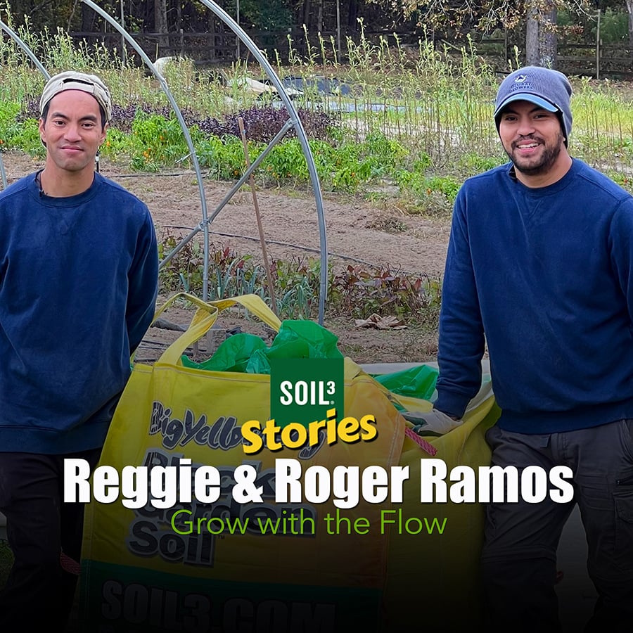 Soil³ Story: Grow with the Flow