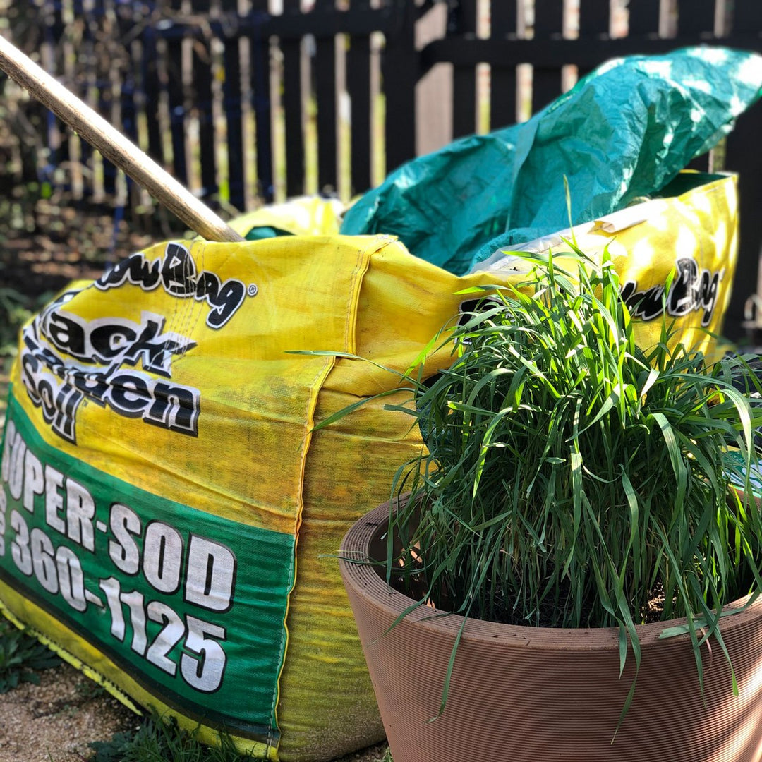 Planting Directly in Soil³
