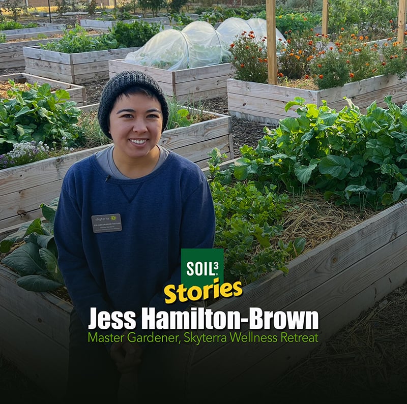 Soil³ Story: The Kitchen Garden at Skyterra Wellness Retreat