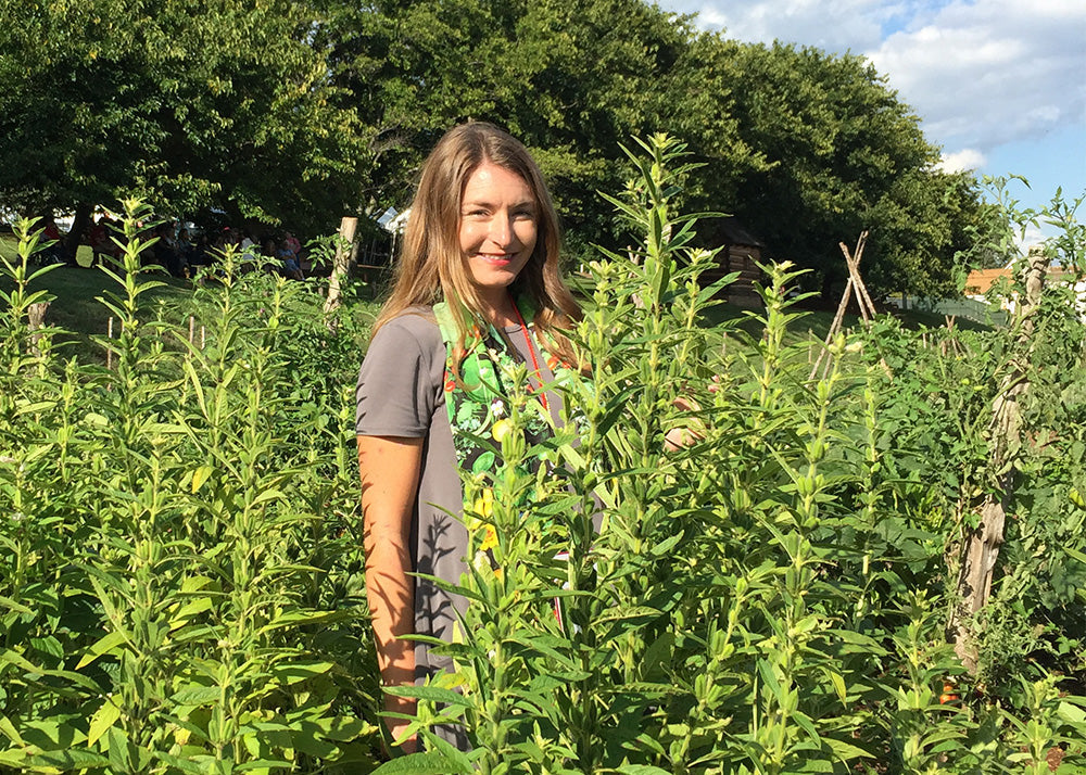 Summer Cover Crops for Southern Gardeners