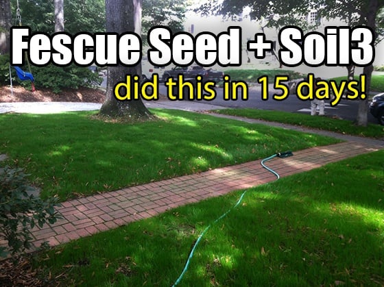 Seeding a Tall Fescue Lawn with Soil³ [video]