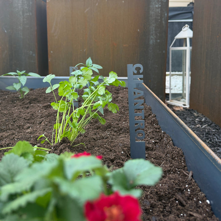 Garden Herb Markers