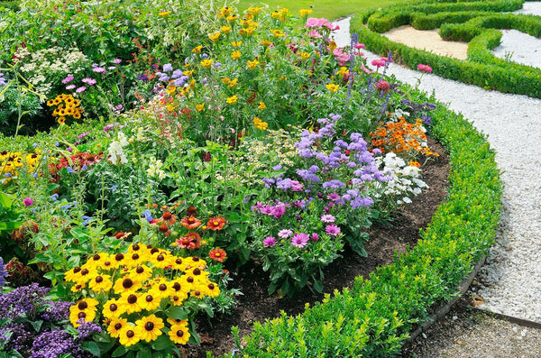 Flower Beds