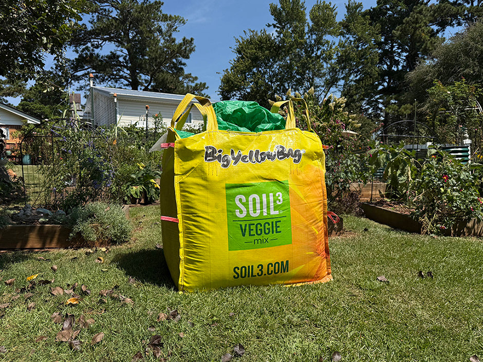 Veggie Mix in a BigYellowBag