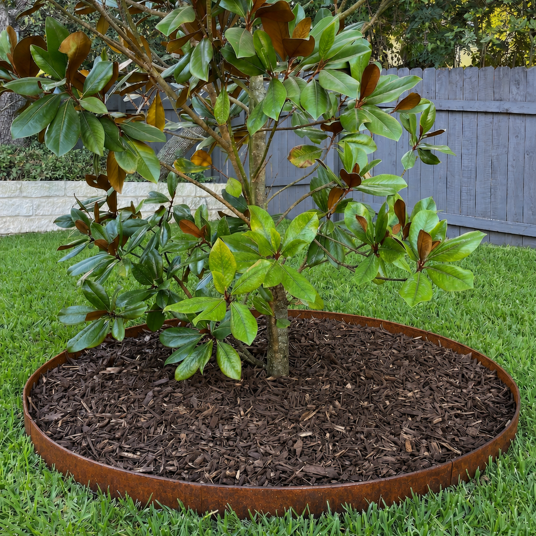 Tree Ring Kits