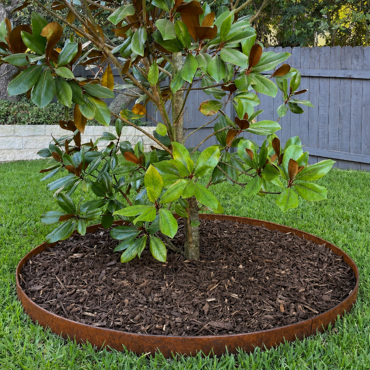 Tree Ring Kits