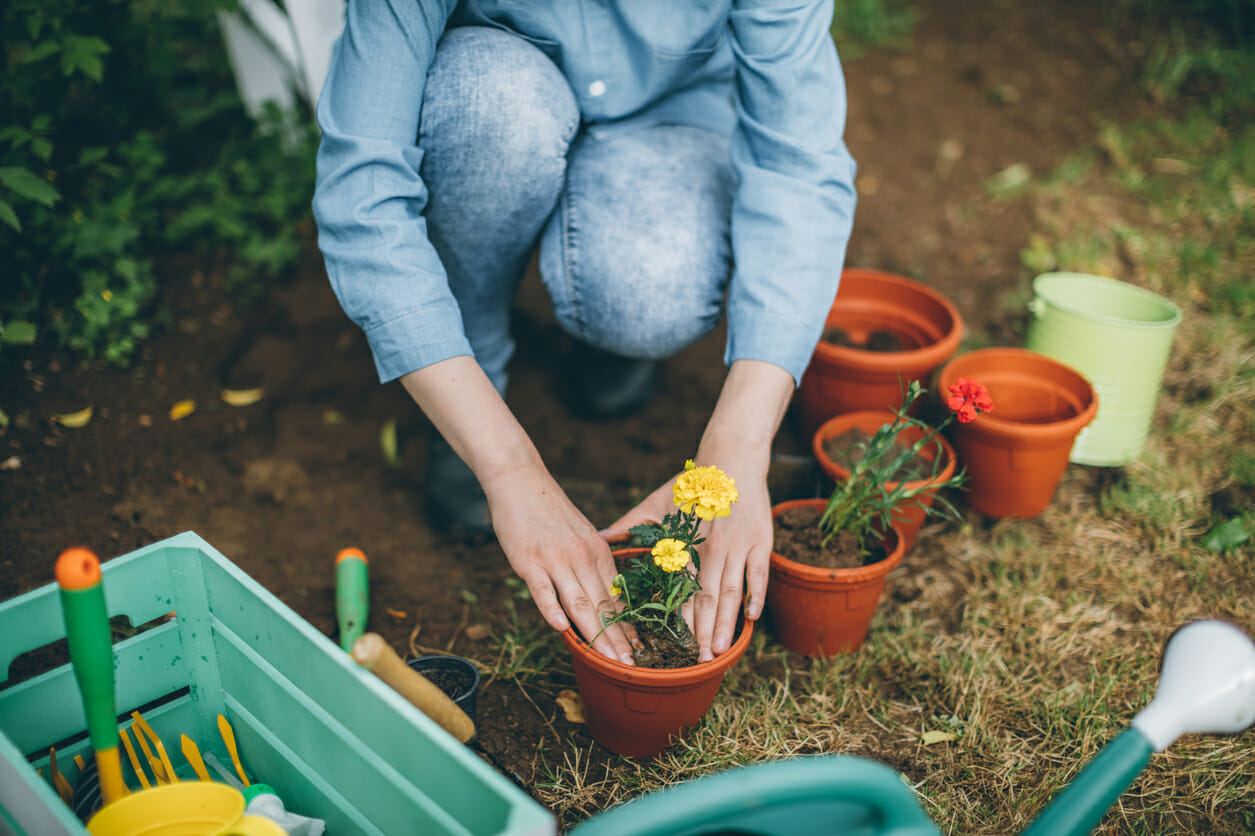 How much Soil Do I need? - Soil3